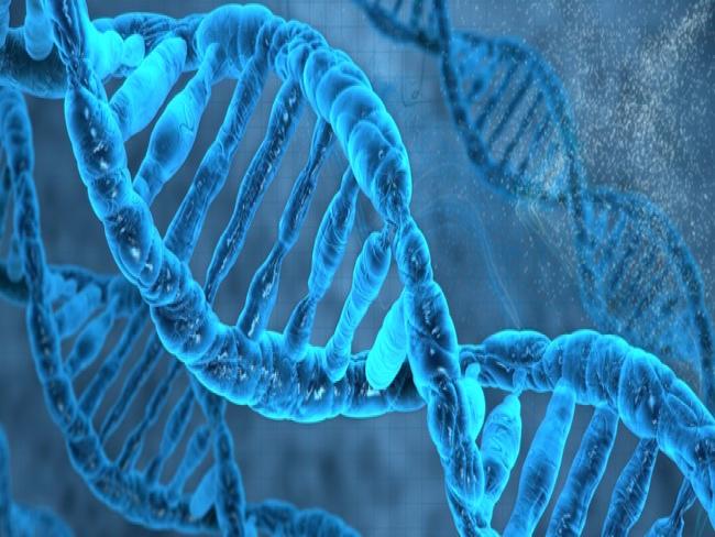 IBM e Fiocruz vão desvendar mistérios de genomas no País