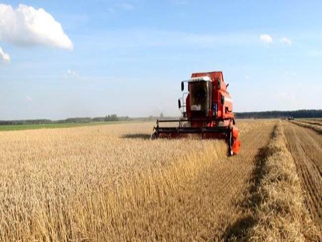 Cooperativa agrícola reduz pela metade ciclo de planejamento com análise de dados
