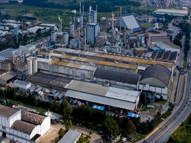 Suzano moderniza estrutura de TI e adota banco de dados Hana