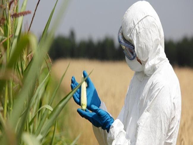 Indústria de biotecnologia cresce mesmo com baixo investimento