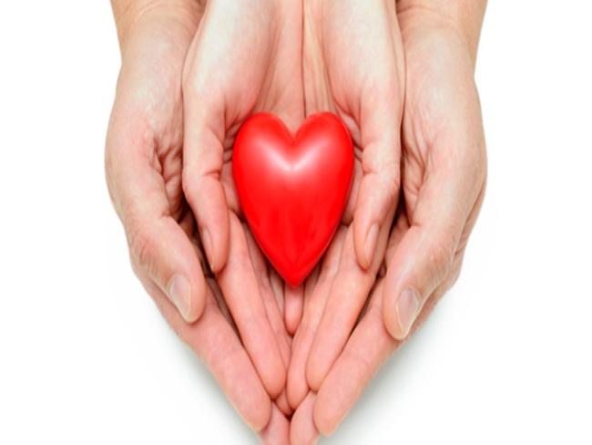 GRAAC lança sistema multiplataforma para doações