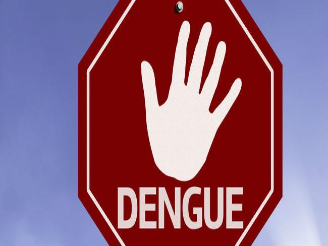 Águas de São Pedro lança aplicativo antidengue para moradores