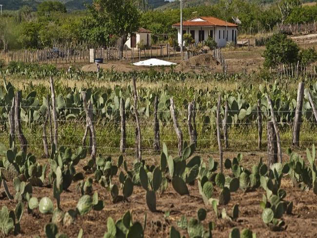 App monitora safra de agricultores para prevenir riscos nas áreas de plantações