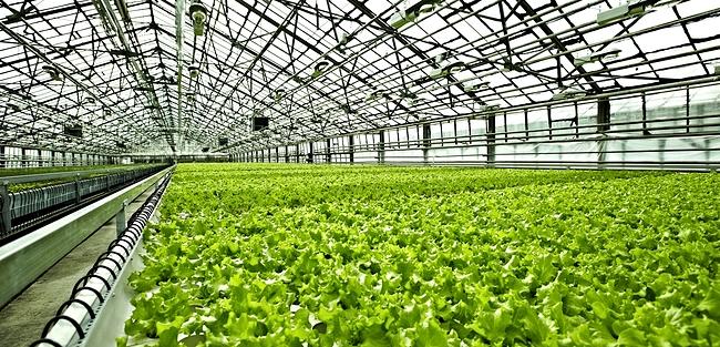 Basf inaugura Centro de Tecnologia de Aplicação para testar produtos de proteção de cultivos