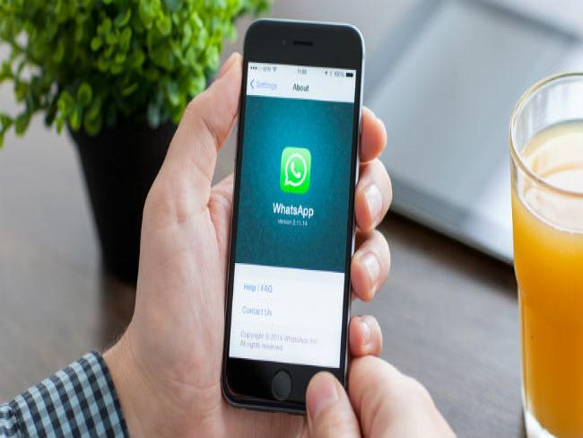 Elseve cria ação para atendimento de clientes via WhatsApp