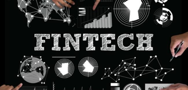 O que fintechs e abelhas têm em comum?