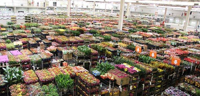 Por mais disponibilidade