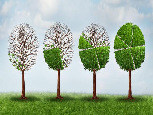 Gigantes da tecnologia se unem para investir em energia limpa