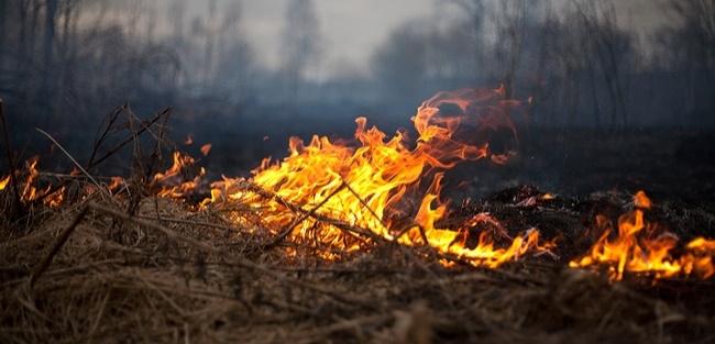 Alta tecnologia reduz tempo de detecção e combate a incêndios para preservação ambiental