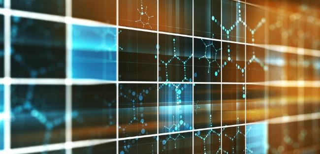 Care Plus fica mais próxima do cliente e cresce 20% com apoio de tecnologia