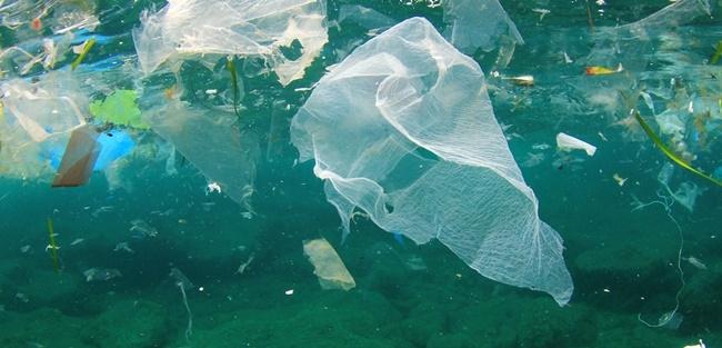 Laboratório produz plástico do futuro a partir de bactérias