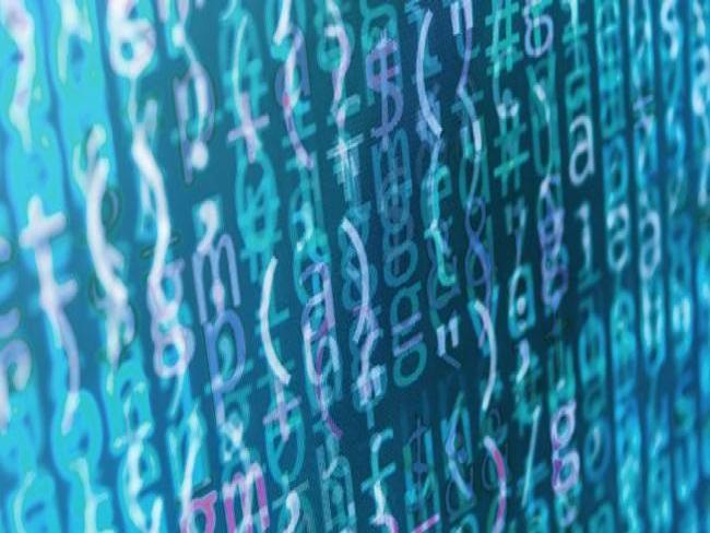 Qual o papel do chief analytics officer?