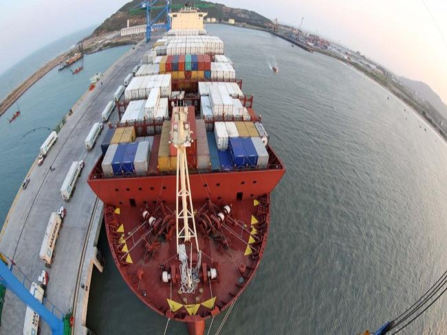 Santos Brasil desenvolve aplicativo para acompanhamento de cargas