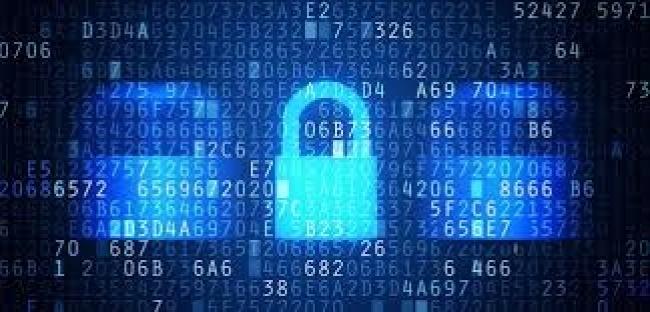 BluePex mira regiões Sul e Sudeste e investe em programa de canais