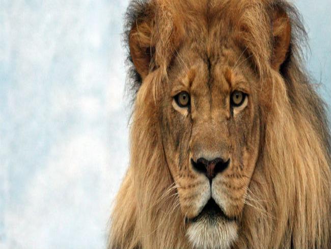 Site da Receita fica congestionado em dia de consulta a lote de restituição