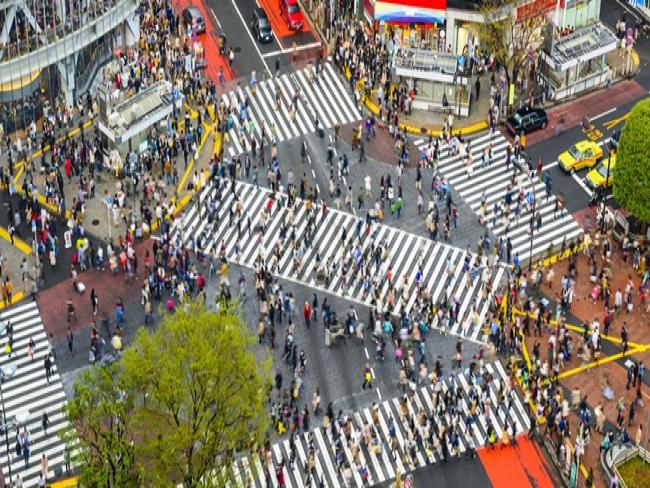 Tecnologia Epson será usada para testar edifícios contra terremotos no Japão