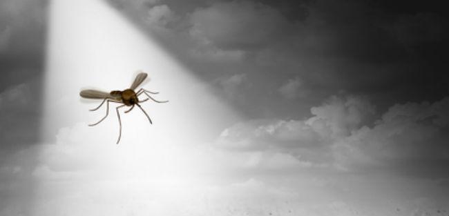 Microsoft anuncia Project Premonition para ajudar no combate a surtos de doenças