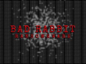 badrabbit625cio8765.jpg