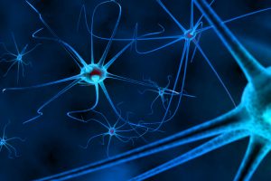neurociencia
