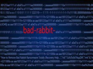 badrabbit625pthj.jpg