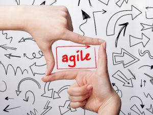 agile_529270027a.jpg