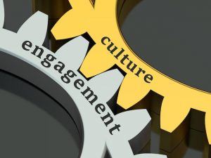 cultura_373295647.jpg
