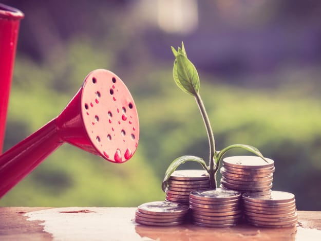 investimento startup