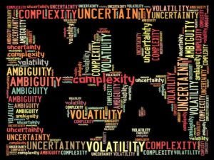 VUCA_1046295442.jpg