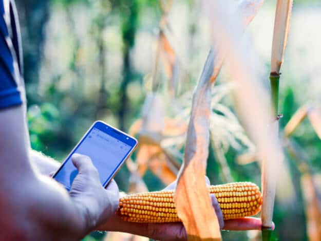 chatbot agronegócio