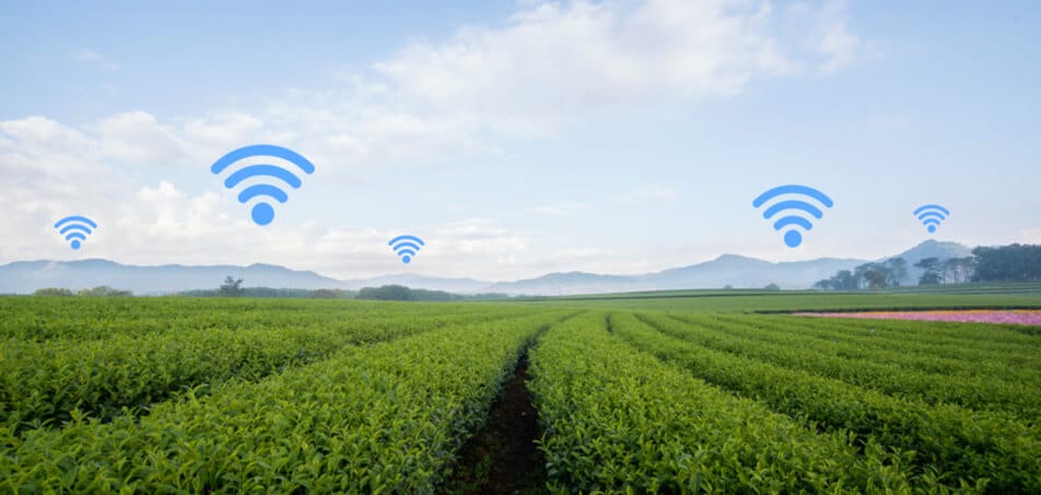 IoT Agronegócio