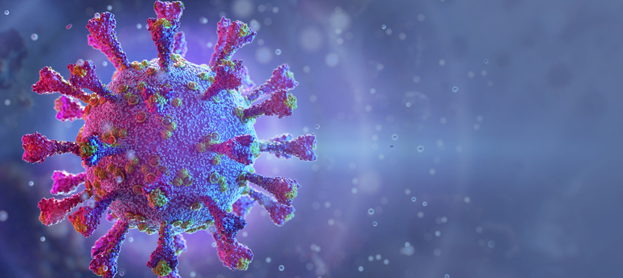 coronavírus