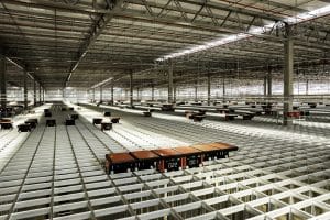 Dafiti centro de distribuição