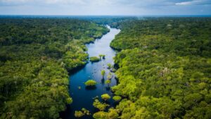 floresta tropical amazonica com rio e céu, bioeconomia