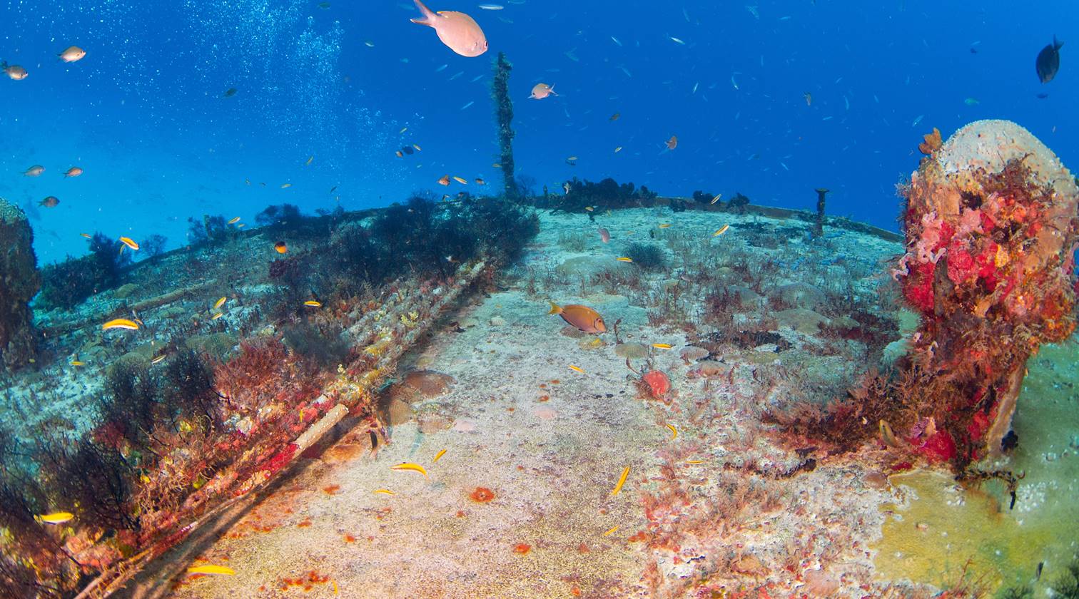 cabo submarino, fibra óptica