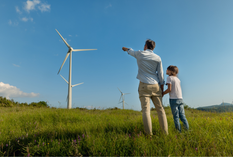 energia eólica cata-vento renovável