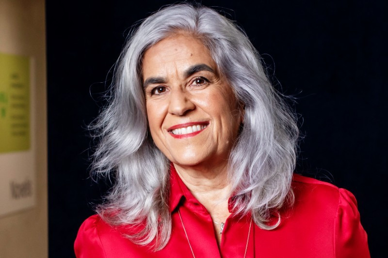 Sylvia Sanchez, Novelis