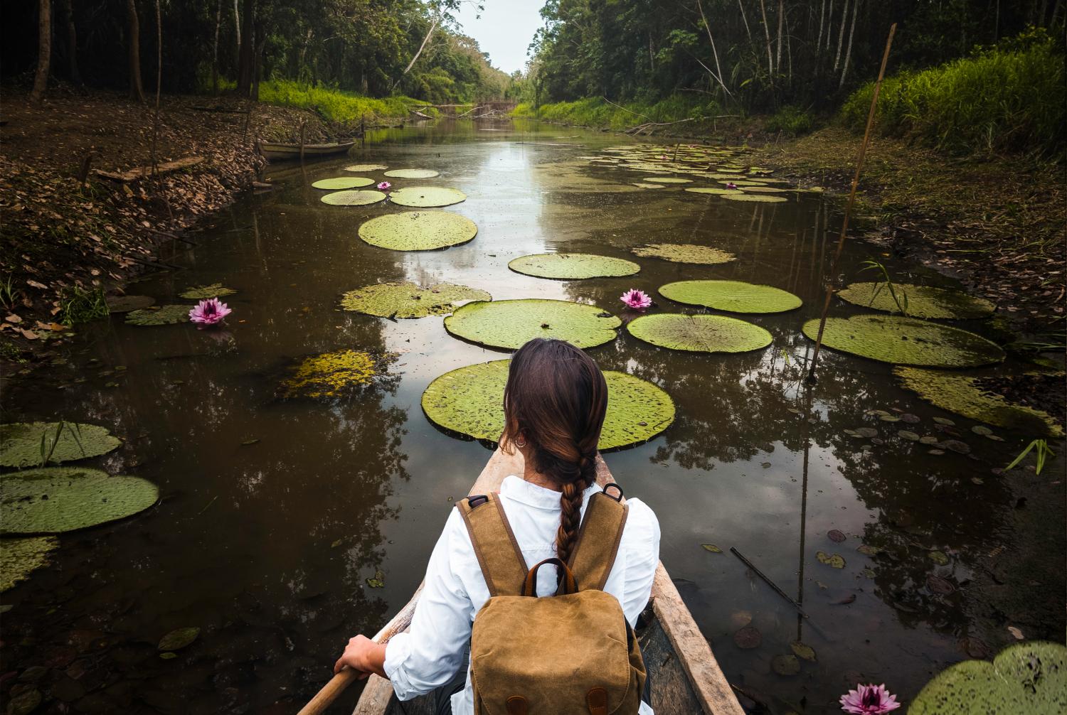 Amazônia, brasil, floresta, barco, mulher