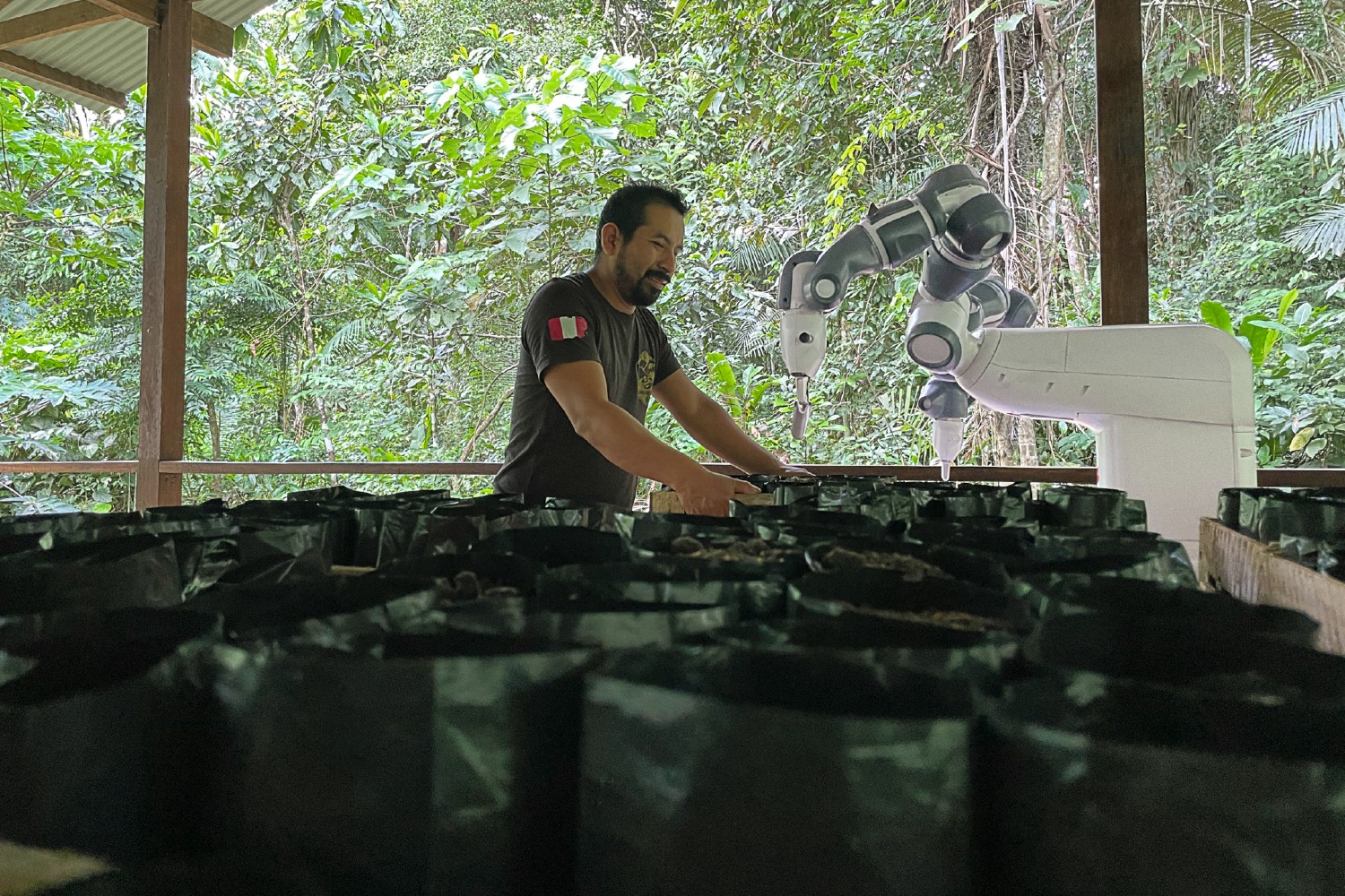 robô, ABB Robotics, Amazônia, floresta amazônica