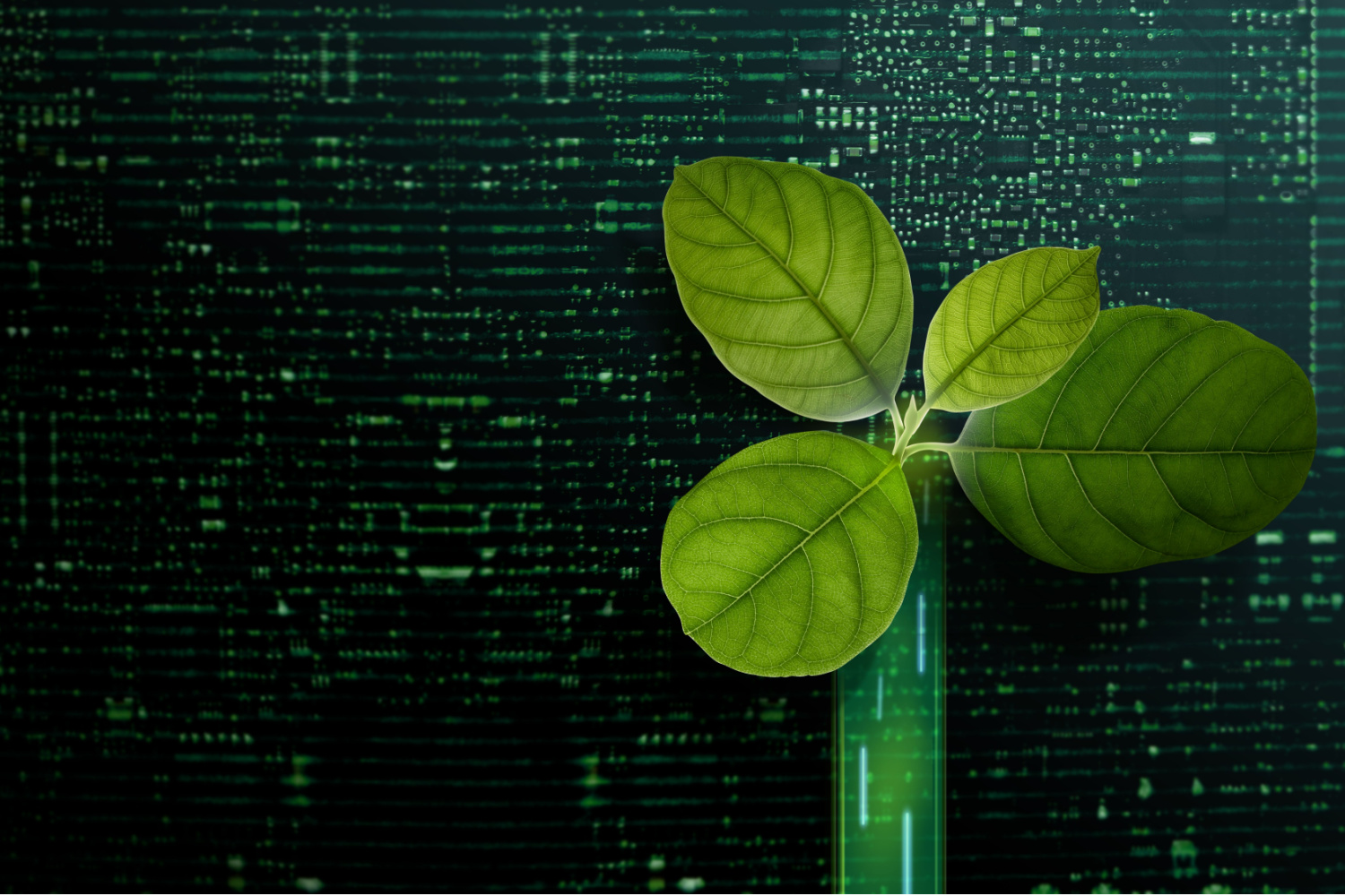 CTOs, sustentabilidade, meio-ambiente, preservação, verde, curso gratuito