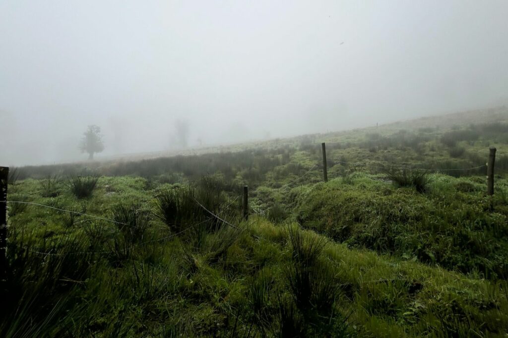 Projeto Água Tica na Costa Rica