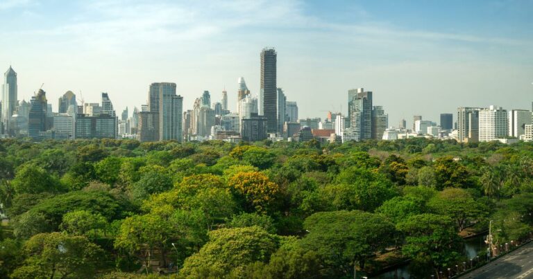 Dia da Árvore. ESG, cidade, ti verde, sustentabilidade, tecnologia, natureza