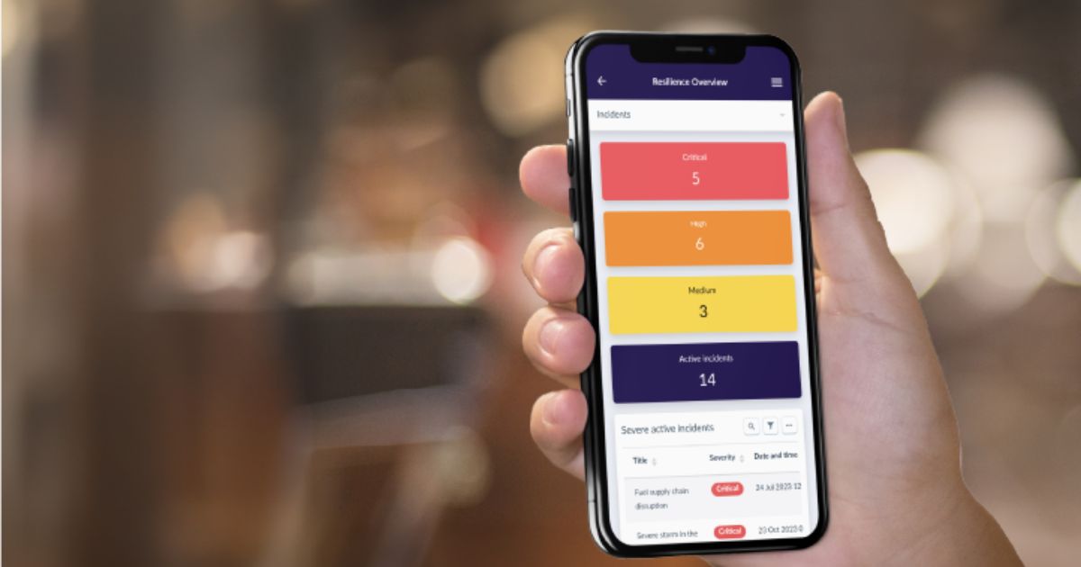 Noggin Imagem: Divulgação