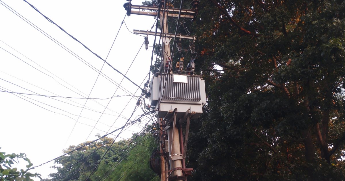 startup, energia elétrica, arborização